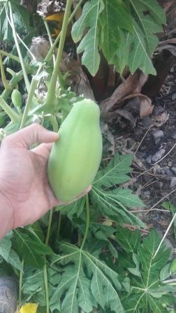 Name:  20191006_161633.jpg
Views: 270
Size:  32.0 KB