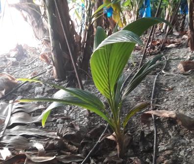 Name:  20191110_174647.jpg
Views: 596
Size:  42.4 KB