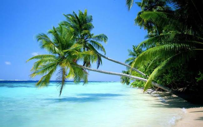 Name:  images (10).jpg
Views: 694
Size:  40.9 KB