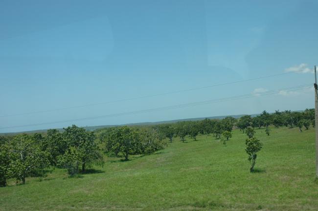 Name:  DSC_8510.jpg
Views: 8457
Size:  28.1 KB