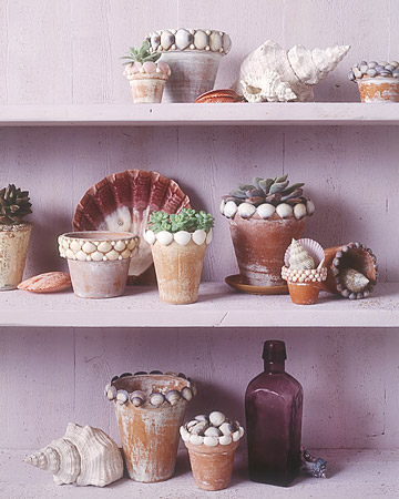 Name:  msl-jun06-shell-pot-xl.jpg
Views: 2845
Size:  55.1 KB