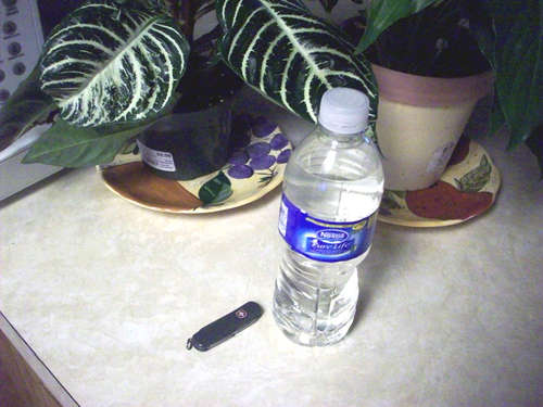 Name:  Gathering-Supplies.jpg
Views: 1369
Size:  28.8 KB
