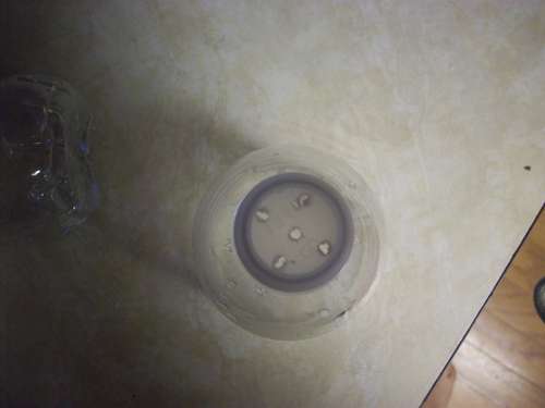 Name:  FR8IYCDFVW1UPCH.MEDIUM.jpg
Views: 1342
Size:  9.4 KB