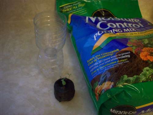 Name:  Planting-The-Seed.jpg
Views: 1350
Size:  18.6 KB