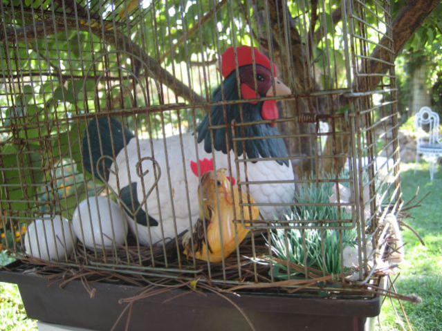 Name:  IMG_1049.jpg
Views: 9982
Size:  65.5 KB