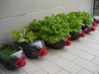 Name:  577214_258581140907634_1287525169_n.jpg
Views: 16469
Size:  14.7 KB