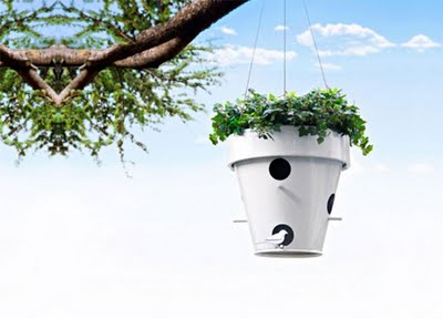 Name:  pot-unik2.jpg
Views: 4256
Size:  19.4 KB