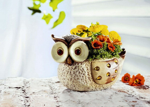 Name:  045810073-blumentopf-eule.jpeg
Views: 2456
Size:  51.0 KB
