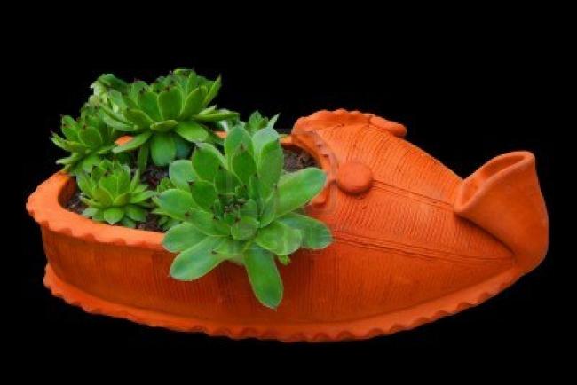 Name:  9799694-nadelrad-in-blumentopf-der-form-des-traditionellen-serbischen-schuhe-auf-schwarzem-hinte.jpg
Views: 2043
Size:  26.0 KB