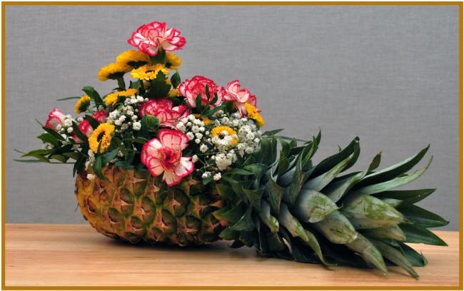 Name:  Ananas-als-Blumentopf-a23050301.jpg
Views: 2023
Size:  44.4 KB