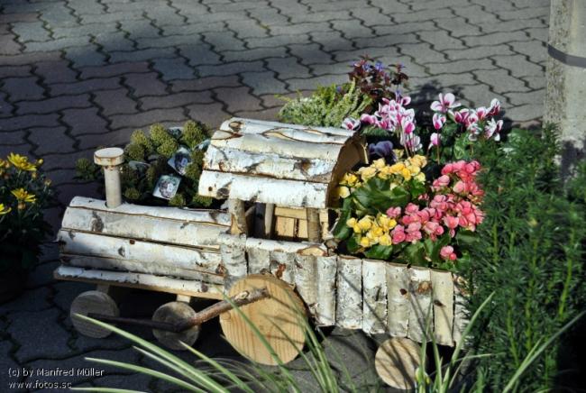 Name:  Dekoration_Blumen_Natur_.jpg
Views: 1997
Size:  62.9 KB