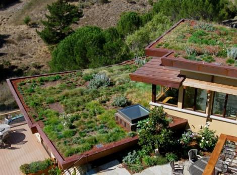 Name:  ein-garten-auf-dem-dach-warum-nicht-Awesome-House-Design-with-Roof-Garden-l-Nice-Roof-Garden.jpeg
Views: 2035
Size:  42.0 KB