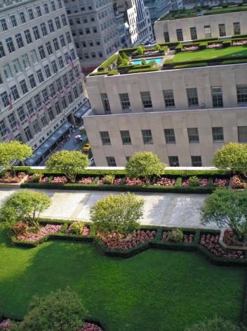 Name:  ein-garten-auf-dem-dach-warum-nicht-Rockefeller_Center_Rooftop_Gardens_2_by_David_Shankbone.jpeg
Views: 2337
Size:  39.7 KB