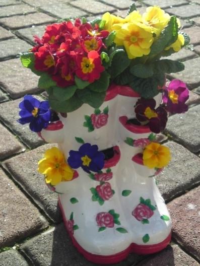 Name:  pflanzstiefel2.jpg
Views: 2334
Size:  39.4 KB