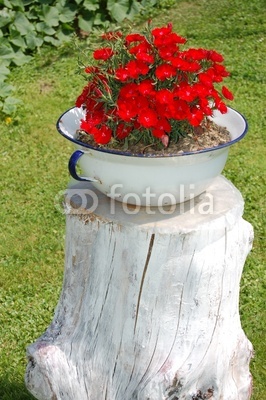 Name:  400_F_19072923_r1iNYQhxdjrb3um9l7gNEcEBkgegevuM.jpeg
Views: 1957
Size:  60.0 KB