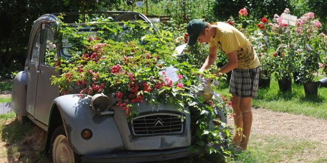 Name:  01102012_Citroen_2CV_Ente_Blumentopf_dpa.jpg
Views: 1857
Size:  55.6 KB