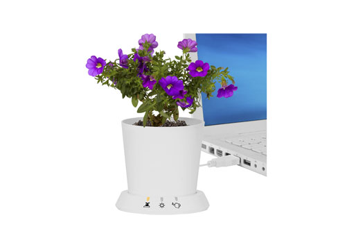 Name:  Wohnidee-Pflanzen-USB-Topf.jpeg
Views: 2188
Size:  17.9 KB