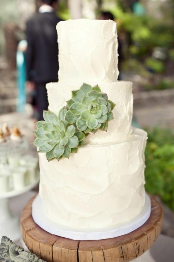 Name:  wedding-decor-succulents-2.jpg
Views: 2267
Size:  45.7 KB