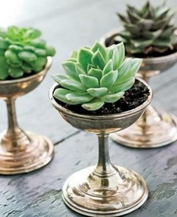 Name:  wedding-decor-succulents.jpg
Views: 4821
Size:  53.3 KB