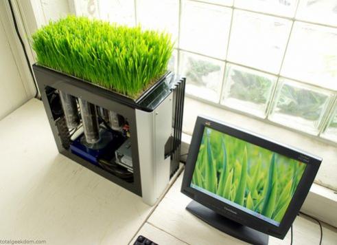 Name:  bio-computer-pflanze-mod.jpg
Views: 1703
Size:  27.9 KB