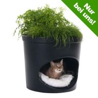Name:  Orignelle-Katzenhoehle-mit-Blumentopf.jpeg
Views: 1681
Size:  7.4 KB