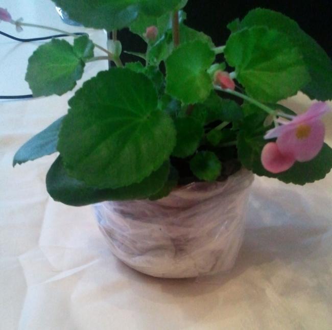 Name:  20121104_152836.jpg
Views: 1692
Size:  36.9 KB