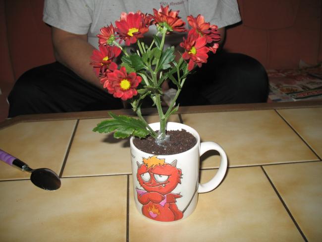 Name:  a.jpg
Views: 1672
Size:  36.8 KB