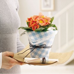 Name:  blumentopf-kuechentuch.jpeg
Views: 1726
Size:  17.7 KB
