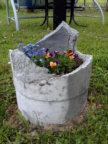 Name:  mauerblümchen.jpg
Views: 1778
Size:  66.2 KB