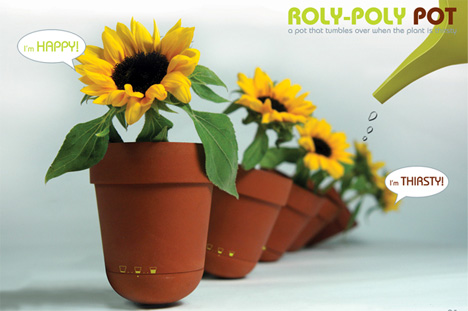 Name:  roly_pot.jpeg
Views: 1669
Size:  48.8 KB