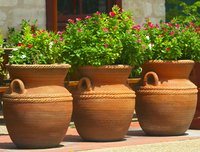 Name:  terrakotta-blumentoepfe-42.jpeg
Views: 1651
Size:  11.4 KB