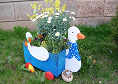 Name:  garten-blumentopf.jpeg
Views: 1589
Size:  38.1 KB