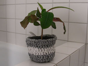 Name:  blumentopf.jpeg
Views: 1863
Size:  11.5 KB
