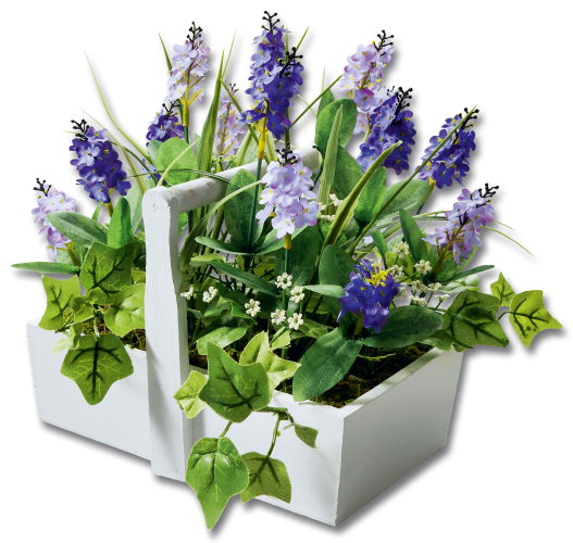 Name:  047366490-deko-lavendel-im-korb.jpeg
Views: 1813
Size:  59.1 KB