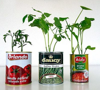 Name:  20100316002308-mini-huerto-latas.jpeg
Views: 1677
Size:  45.4 KB