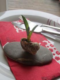Name:  basteltipps_schneckenhaus_vase.jpg
Views: 1686
Size:  9.3 KB