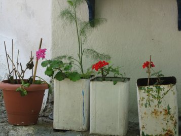 Name:  blumentoepfe.jpeg
Views: 3009
Size:  20.4 KB