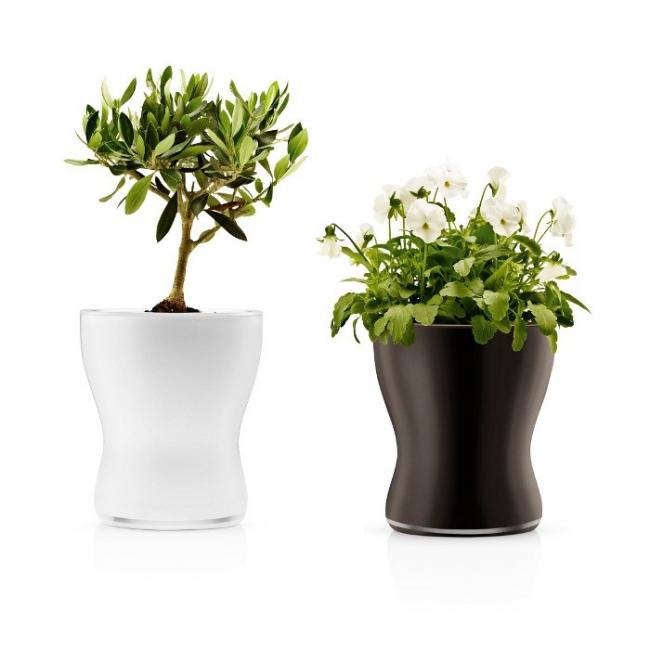 Name:  blumentopf_selbstw_ssernd_13_cm_eva_solo_72.jpg
Views: 1798
Size:  32.1 KB