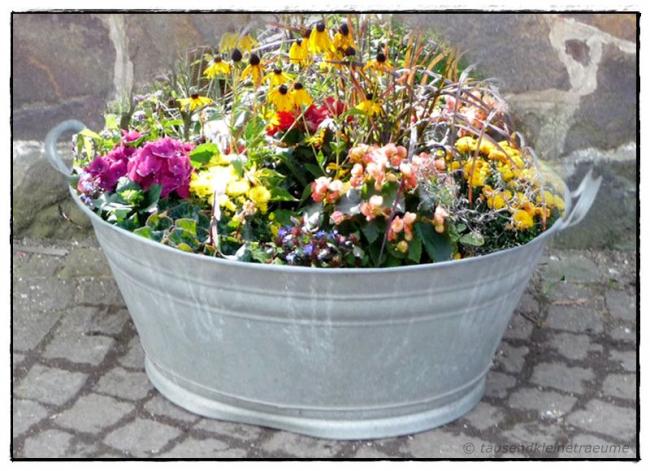Name:  garten_2012_028_a.jpg
Views: 1704
Size:  61.9 KB
