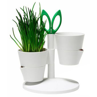 Name:  herb-stand-blumentopf.jpeg
Views: 1599
Size:  13.7 KB