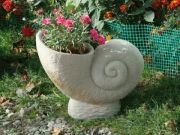 Name:  pflanz-trog-schnecke-muschel-sandstein-40-cm.jpeg
Views: 1572
Size:  9.1 KB