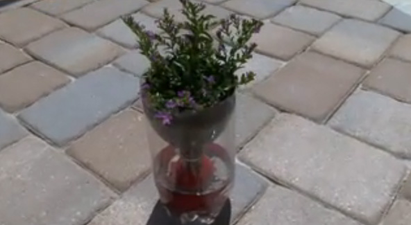 Name:  plastikflaschen-blumentopf.jpeg
Views: 1760
Size:  60.8 KB