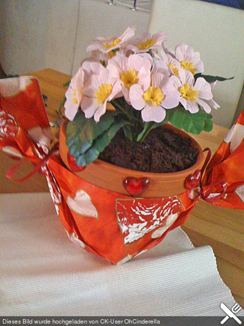 Name:  401016-big-schokokuchen-in-einem-blumentopf.jpg
Views: 2076
Size:  56.7 KB
