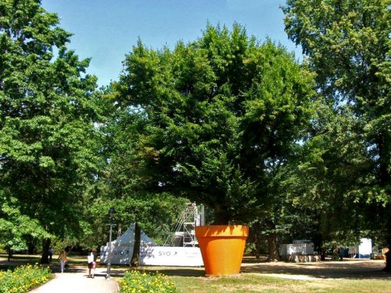 Name:  Ein-grosser-Baum-in-einem-Blumentopf-a22209490.jpg
Views: 1794
Size:  71.7 KB