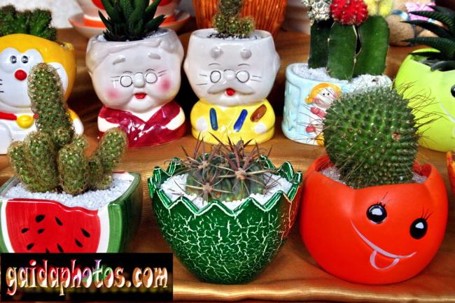 Name:  einladungskarte-blumentopf.jpg
Views: 1636
Size:  65.7 KB
