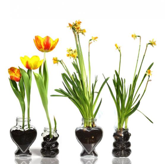 Name:  Flaschenland-Blumen-Fruehling01.jpg
Views: 1492
Size:  34.7 KB