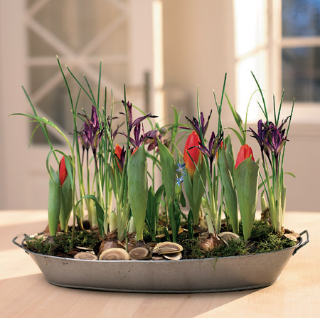 Name:  floradania.dk-bolia13-1.jpeg
Views: 1969
Size:  62.9 KB