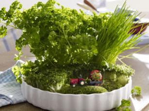 Name:  kraeutergarten-in-tarteform-308-231.jpg
Views: 1459
Size:  17.0 KB