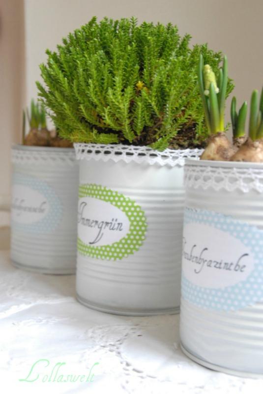 Name:  Blumentopf4-1.jpg
Views: 1395
Size:  44.3 KB