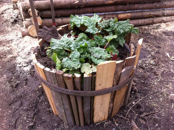 Name:  blumenkuebel.jpg
Views: 2483
Size:  71.1 KB